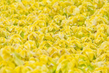 Similar image 22165673