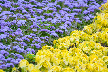 Similar image 22165677