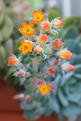 Similar image 22165678