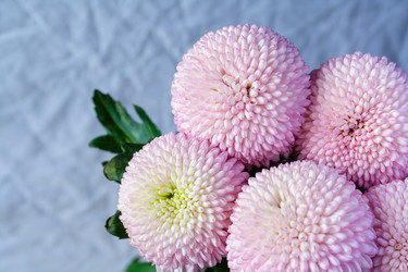 Similar image 22165679