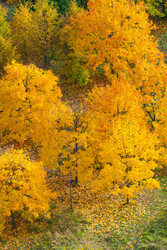 Similar image 22165685