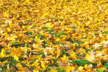 Similar image 22165686