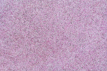 Similar image 22165688