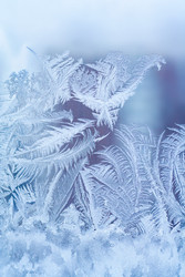 Similar image 22165693