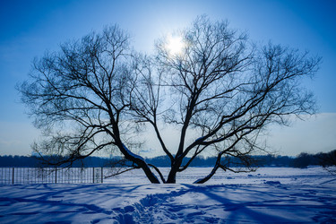 Similar image 22165699