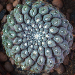 Similar image 22165702