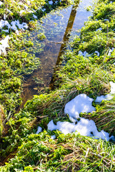 Similar image 22164258