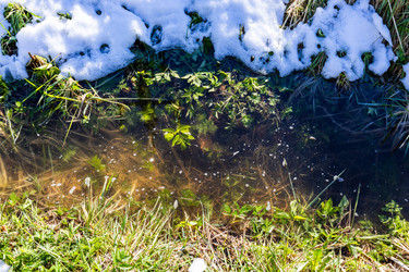 Similar image 22164260