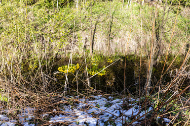 Similar image 22164263