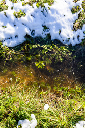 Similar image 22164264