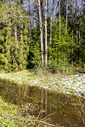 Similar image 22164269