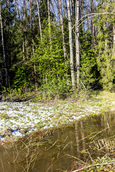 Similar image 22164271