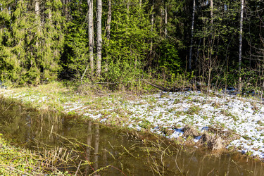 Similar image 22164816