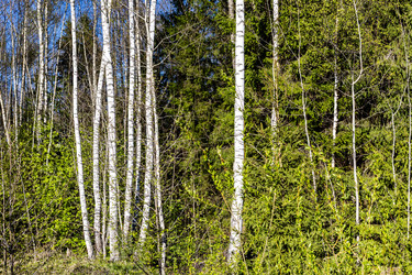 Similar image 22164818