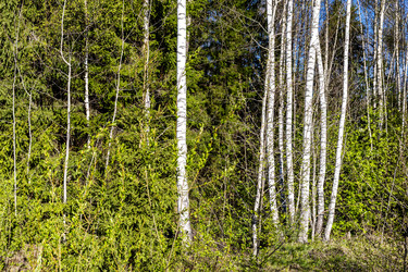 Similar image 22164822