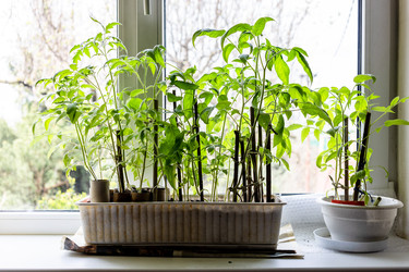 Similar image 22164831