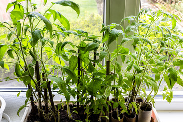 Similar image 22164834