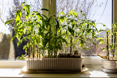 Similar image 22164838