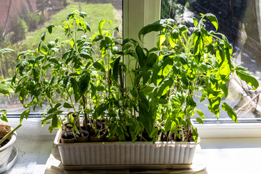 Similar image 22164840