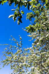 Similar image 22164842