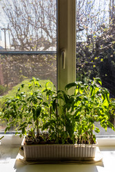 Similar image 22164843