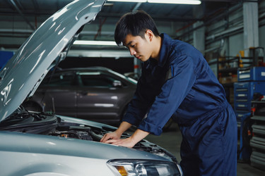 Similar image 22166236