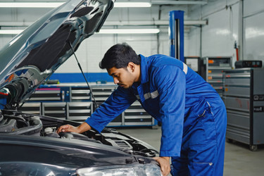 Similar image 22166246