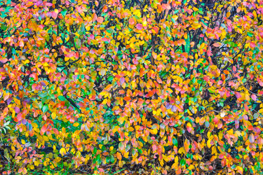 Similar image 22165239