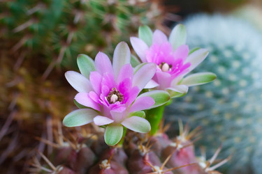 Similar image 22165245