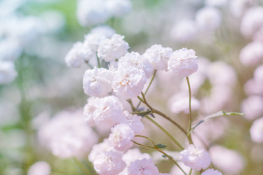 Similar image 22165713