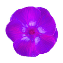 Similar image 22165720