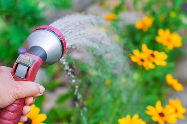 Similar image 22165726