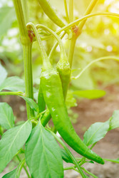 Similar image 22165728