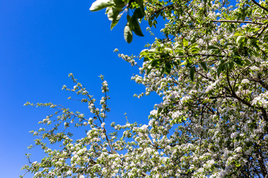 Similar image 22162001