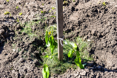 Similar image 22162007