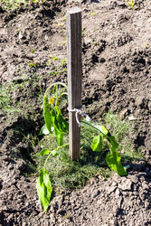 Similar image 22162009