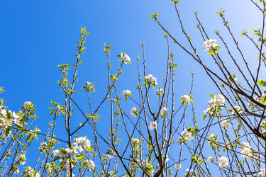 Similar image 22162011