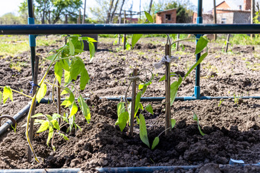 Similar image 22162012