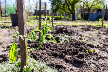 Similar image 22162015