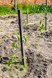 Similar image 22162016