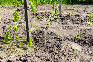 Similar image 22162019