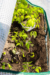 Similar image 22162024