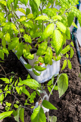 Similar image 22162026