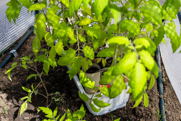 Similar image 22162028