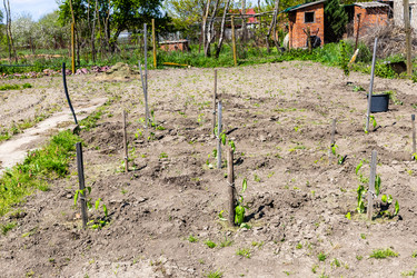 Similar image 22162030