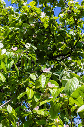 Similar image 22162031