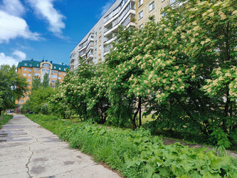 Similar image 22161386