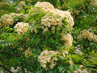 Similar image 22161387