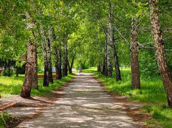 Similar image 22161388