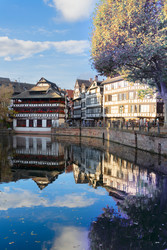 Similar image 22165273